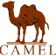 Camel爱好者